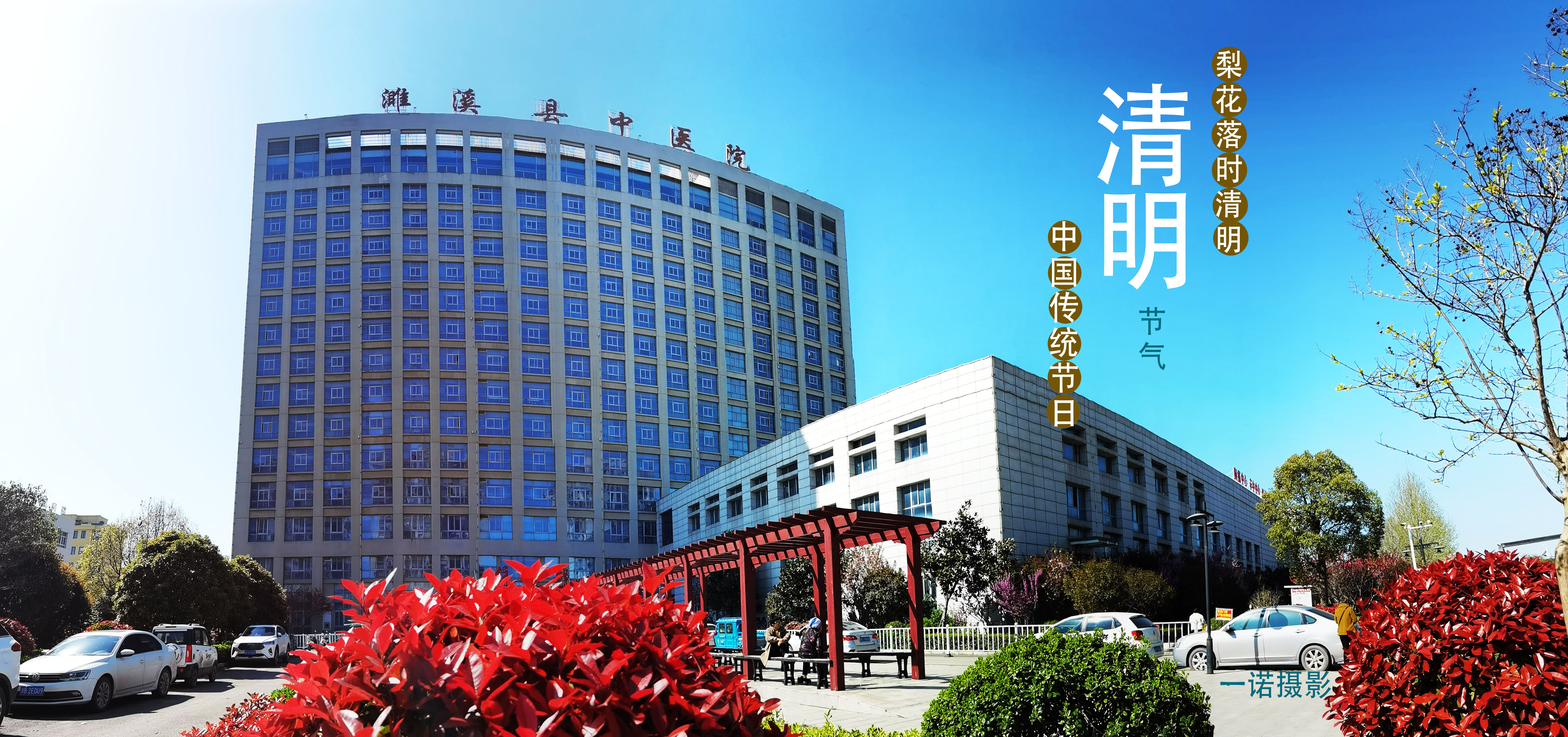 【清明节】濉溪县中医医院推荐养生茶